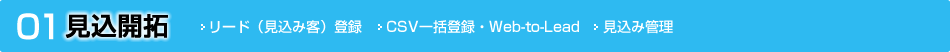 見込開拓